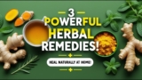 🌿 Herbal Remedies for Common Ailments | The Ultimate Natural Healing Guide