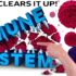 Mastering Time: Unlocking Motivation Through Effective Time Management