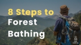 8 Steps to Start Forest Bathing (Shinrin-yoku) for Beginners | Healthy Tips