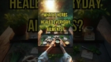 What if you tried herbal remedies for common ailments?