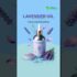 Part 2 Homeopathy Basics with ACHS faculty Dr. Noska