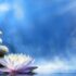 Tara Mackey – Overcoming Anxiety & Depression Naturally