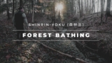 Forest Bathing (ShinRin-Yoku) For Your Modern Lifestyle