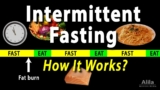 Intermittent Fasting – How it Works? Animation