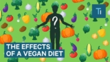 Here’s What Happens To Your Brain And Body When You Go Vegan | The Human Body