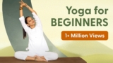 Yoga for Complete Beginners | 30-minute yoga class | योग आसन यहाँ से शुरू करे @satvicyoga