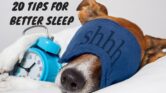 How to sleep better | 20 tips for better sleep | Sleep Hygiene