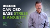 Can CBD Ease Stress and Anxiety?