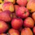 Understanding Weight Gain: Causes, Effects, and Effective Strategies for Healthy Management