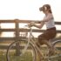 Unlocking the Power of Adaptogens: Nature’s Stress-Relief Secret