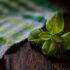 The Best Foods for Gut Health are NOT Probiotics, it’s small amounts of THESE…