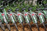 Top 10 Bike Rental Companies Revolutionizing Urban Mobility
