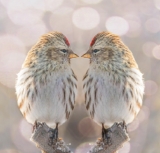 Digital Twins and AI: A Synergistic Approach to Enhanced Simulation