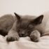 Unwind and Recharge: Designing the Perfect Evening Routine for Better Sleep and Serenity