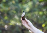 Unlocking Wellness: The Surprising Benefits of CBD Oil