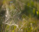 ScalaHosting – VPS and cloud hosting solutions.