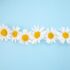 Unlocking Wellness: The Transformative Power of Acupuncture Therapy
