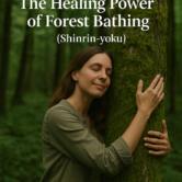 Embracing Nature: The Healing Power of Forest Bathing (Shinrin-yoku)