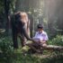 Unlocking Efficiency: How AI-Driven Marketing Automation Revolutionizes Business Growth