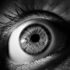 Shielding Your Eyes: Understanding the Importance of Blue Light Protection in Our Digital Age