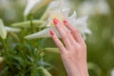 10 Essential Tips for Maintaining Healthy Nails: A Comprehensive Guide