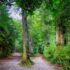 Breathe Easy: Effective Strategies for Sinus Relief and Wellness