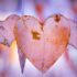 Black men and heart health