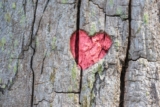 Empowering Your Heart: Essential Tips for Lifelong Cardiovascular Health