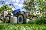 Top 10 Leading Companies Transforming the Gardening Services Industry