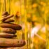 Elevating Legal Precision: How AI is Revolutionizing Error Detection in Legal Briefs