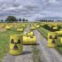 Revolutionizing Stock Issuance: The Role of AI in Monitoring Processes and Enhancing Efficiency