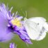 Empowering Breath: Comprehensive Support Strategies for Living with COPD