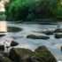 Finding Inner Peace: The Transformative Power of Daily Meditation Practices