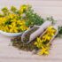 Exploring Homeopathy: Myths, Benefits, and Evidence-Based Insights