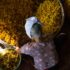Cancer Prevention: Expert Tips & Strategies