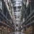 The minimum effective training for the four pillars of longevity | Peter Attia