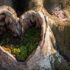 Exploring Intuitive Medicine: The Art of Healing Through Inner Wisdom