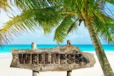 Wellness on the Go: Essential Tips for a Healthy Travel Experience