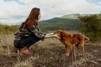 Woman bonding with a dog in a picturesque mountain field during travel...